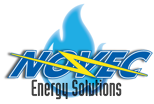 NES Logo 2