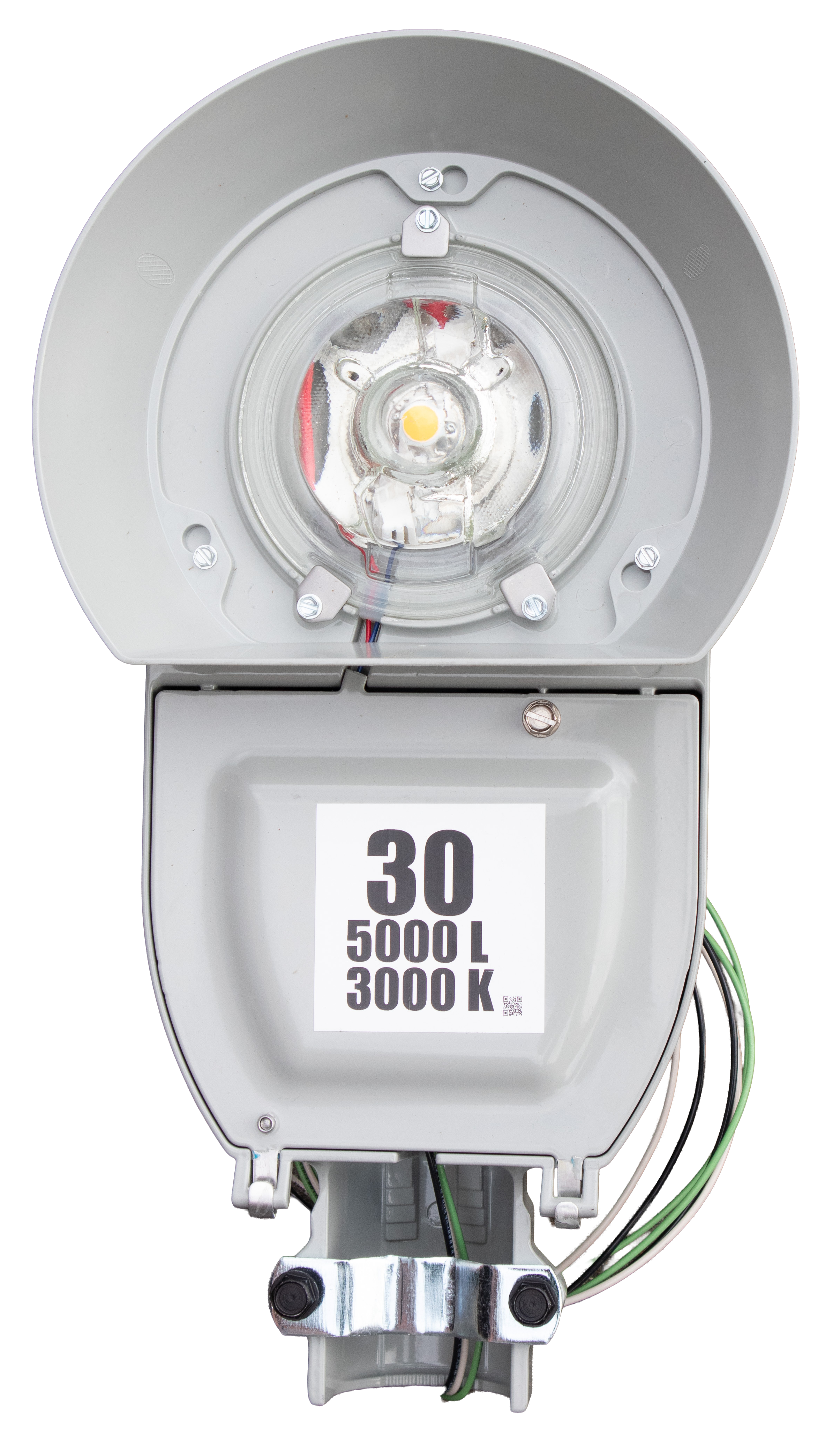 Security Light Fixture